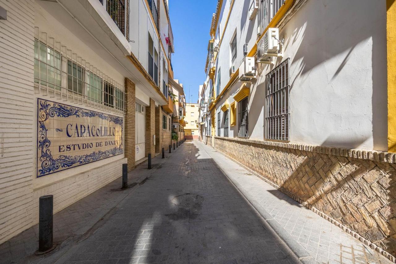 Atico Fortaleza Ii En El Casco Antiguo De Triana Apartment Sevilla
